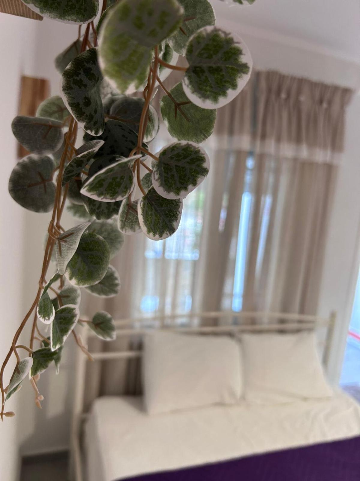 Amaya Pine Rooms كيراموتي المظهر الخارجي الصورة
